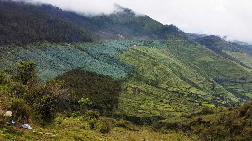 Eloro Resources comenzará «inmediatamente» perforación en su proyecto de oro La Victoria, en Áncash