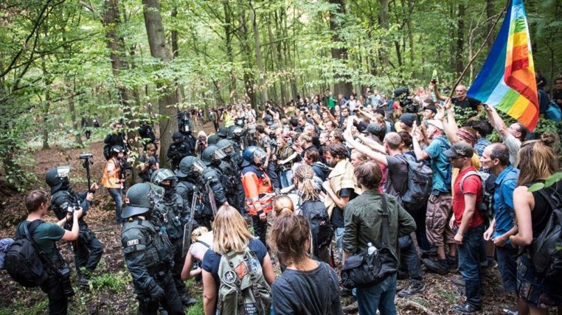Ecologistas vencen al carbón: justicia alemana detiene tala del bosque de Hambach