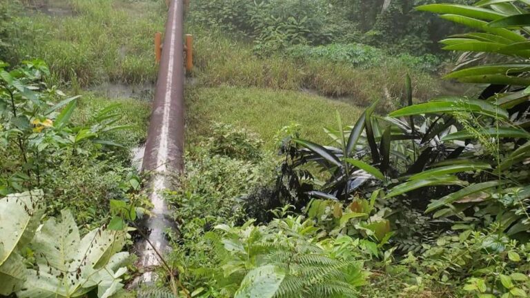 Petroperú: Es importante recuperar los volúmenes de transporte del ONP por encima de los 30 mil barriles por día