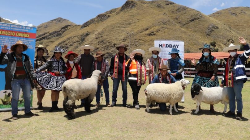 Hudbay Perú invierte S/3.3 millones en la mejora de cadena productiva de cultivos y ganadería de Velille