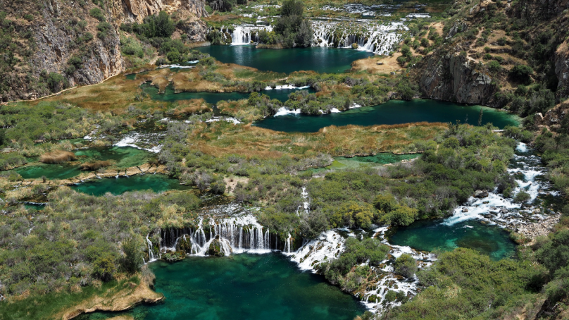 Celepsa gana premio Los Bóscares 2021 gracias a su trabajo en reforestación y restauración de bosques