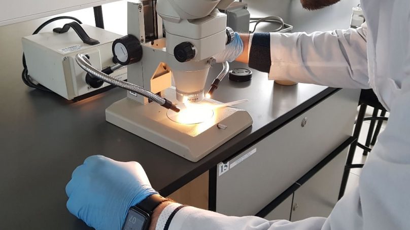 Perumin Hub: Crean tecnología para extraer minerales de relaves mediante espuma y burbujas de aire