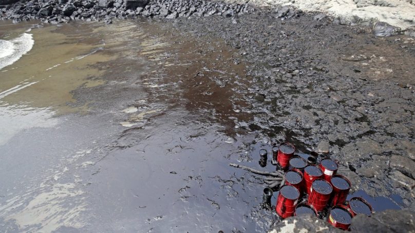 Marino Morikawa: «Limpieza del litoral podría haber tomado 3 meses, pero ahora demorará 2 años»