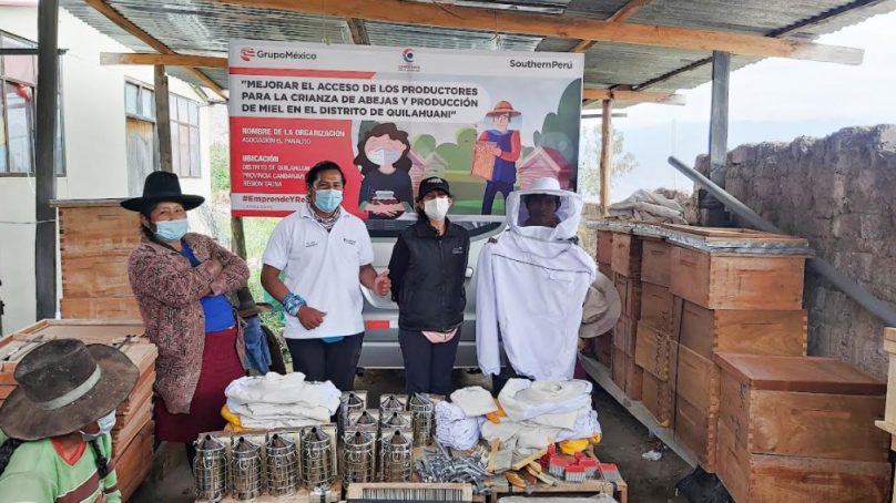 Emprendedores de Candarave inician producción de miel de abeja orgánica con capital semilla de Southern Perú