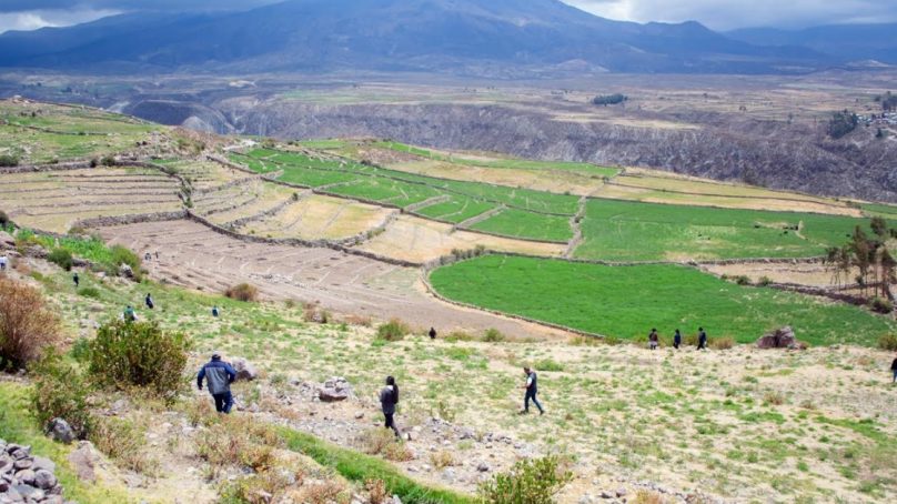 Culmina rehabilitación de 520 hectáreas de andenes en Candarave promovida por autoridades locales, Midagri y Southern