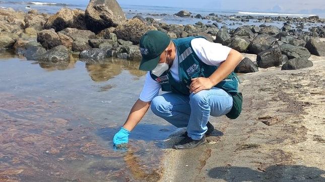 Sernanp identifica impacto ambiental en Islotes de Pescadores y Zona Reservada Ancón por derrame de petróleo