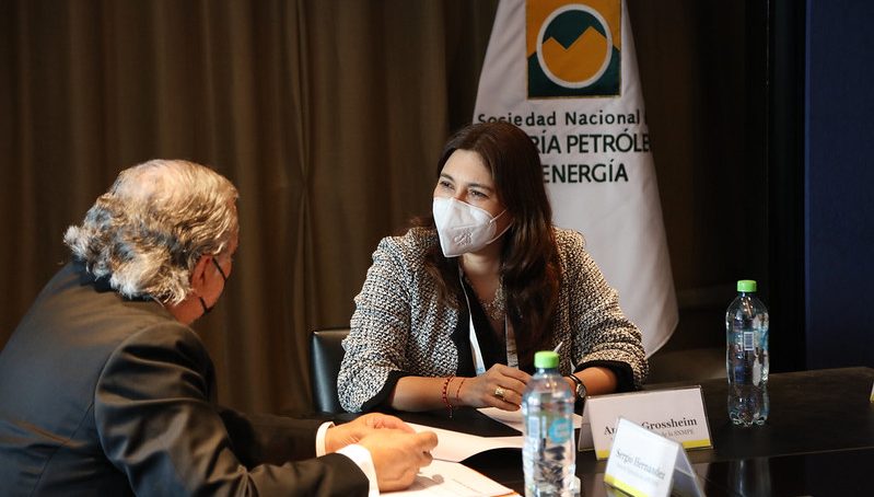 «Perú y Chile atraviesan una actualidad compleja. Nuestras industrias mineras tienen un panorama desafiante»: Angela Grossheim