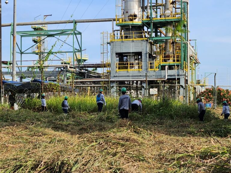 Petroperú: Comunidades cercanas a Refinería Iquitos iniciarán trabajos de desbroce el 13 de febrero