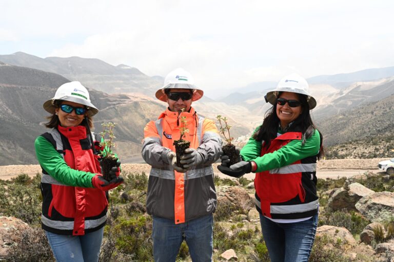 <strong>Anglo American forestó las primeras 10 hectáreas del bosque de queñuas en Quellaveco</strong>