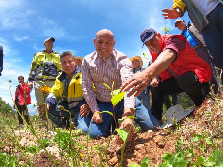 Newmont Yanacocha: A través del proyecto “Huella verde” se logró plantar 600 mil árboles en Cajamarca