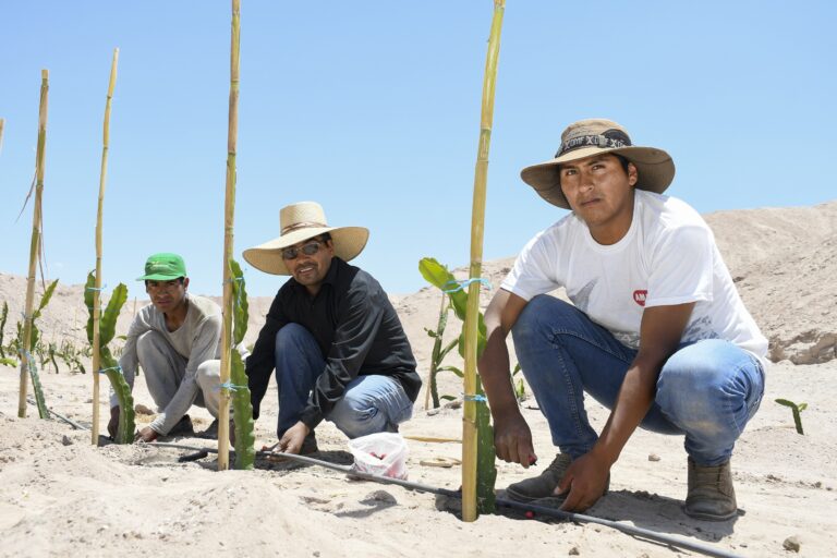 <strong>Agro Quellaveco lanza fondo de S/ 2 millones para la Junta de Usuarios de Moquegua</strong>