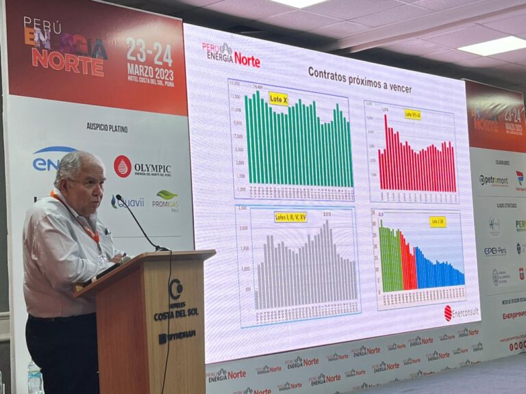 Carlos Gonzales, de Enerconsult: “Si yo fuera Petroperú, pediría el Lote X”