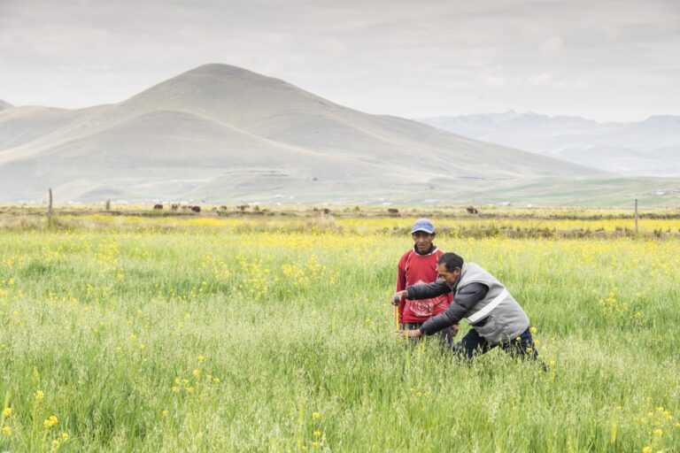 Antapaccay invierte S/3.5 millones en programa de desarrollo económico para comunidades campesinas de su área de influencia directa