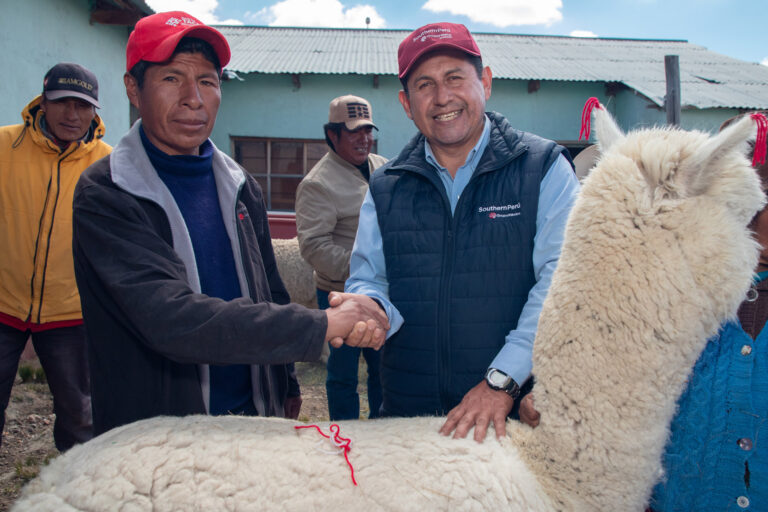 Southern entregó 123 alpacas de primera calidad a comunidad de Huaytire