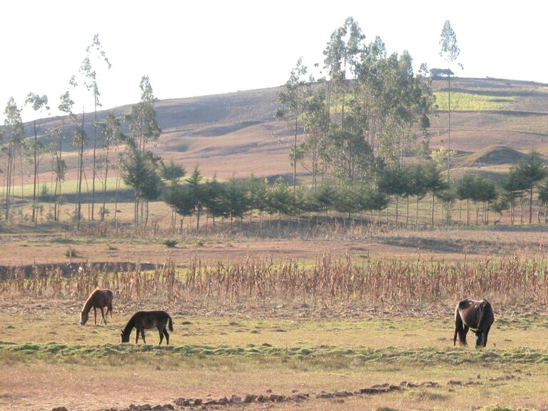 Yanacocha: Falta de lluvias afecta disponibilidad de agua en Cajamarca