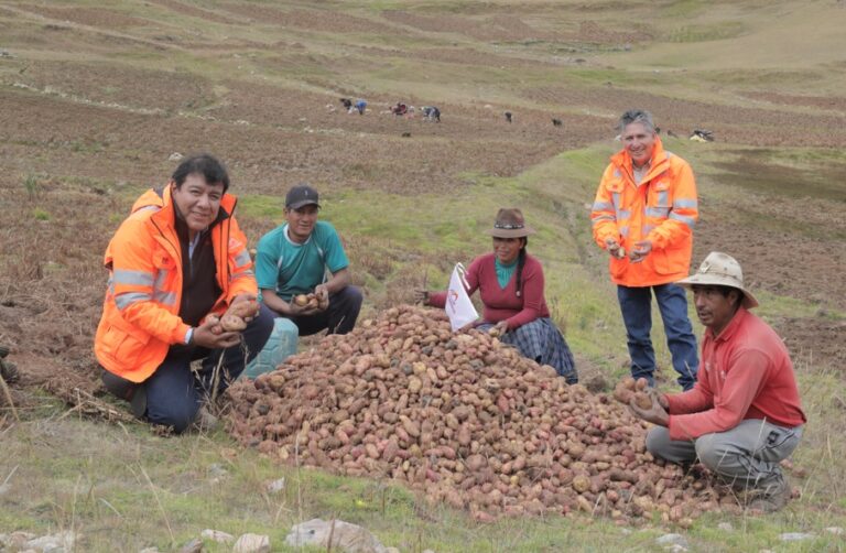 Proyecto de agricultura familiar de Las Bambas ya beneficia a más de 1.500 familias de la provincia de Cotabambas