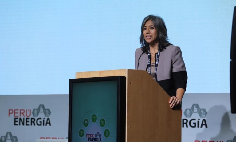 Directora de Energiminas gana el premio “Sustainability & Stewardship” para la región Latinoamérica y el Caribe, otorgado por la Sociedad de Ingenieros Petroleros, con sede en Texas