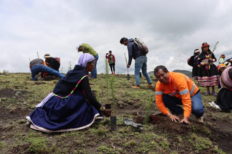 Las Bambas impulsa campaña forestal en 34 comunidades de Apurímac