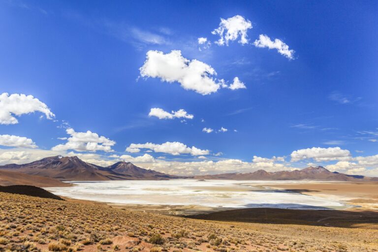 Codelco y SQM logran acuerdo para una asociación público-privada para desarrollo del litio en Salar de Atacama