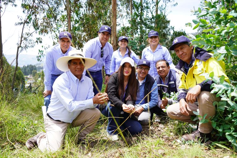 Yanacocha: Avanza proyecto colectivo Huella Verde, que tiene como objetivo el millón de árboles plantados en Cajamarca