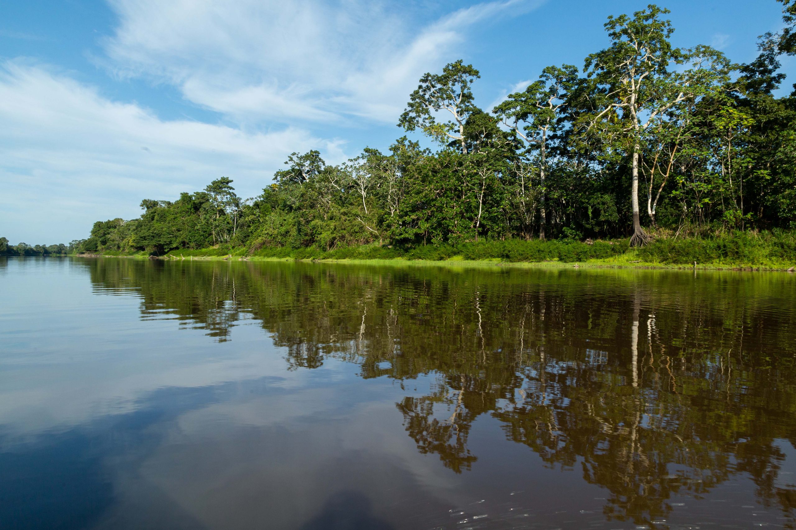 Loreto: reactivarán comisión para fortalecer la protección del ambiente en la provincia de Requena