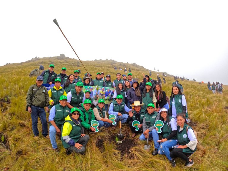 “Huella Verde”: Newmont Yanacocha supera el millón de árboles plantados en Cajamarca