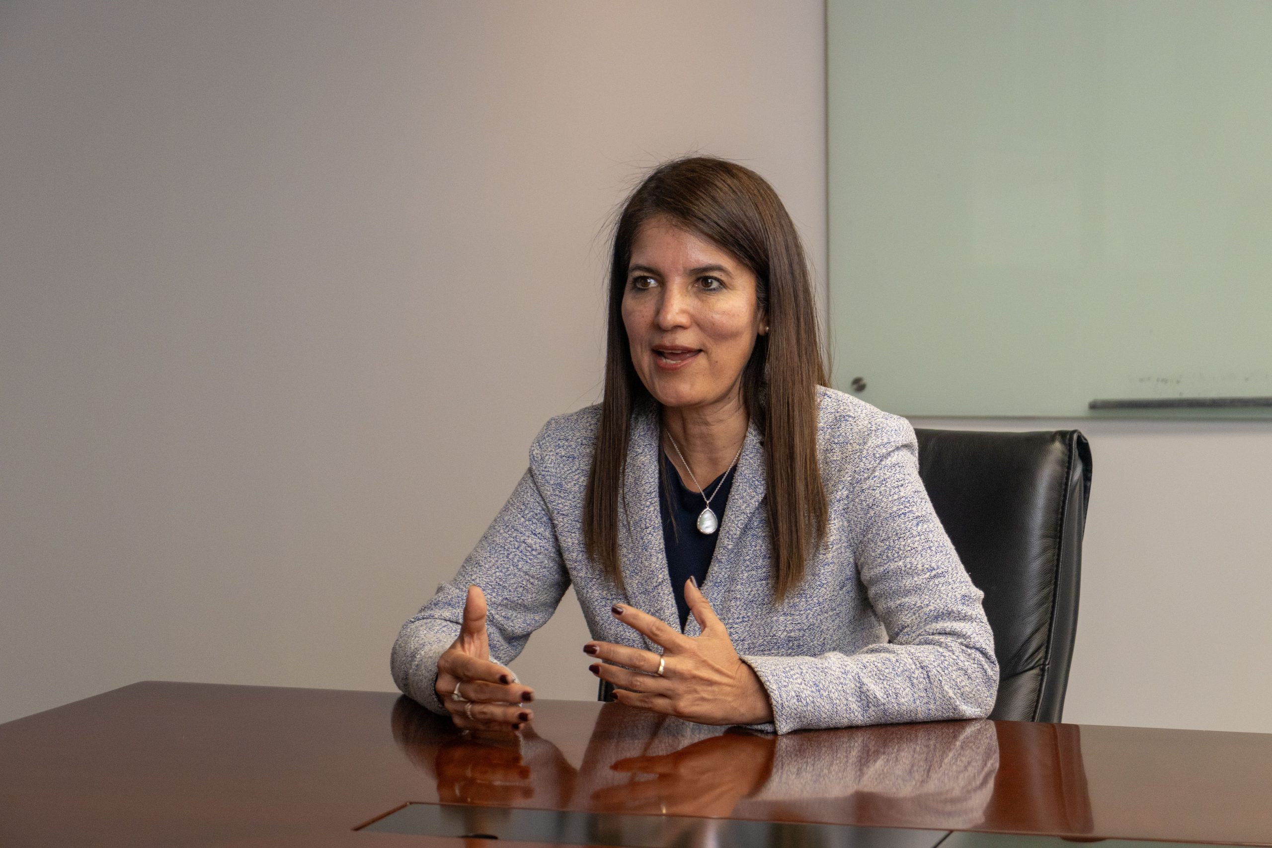 Julia Torreblanca: “Promover un debate ágil y técnico sobre la Ley MAPE es fundamental para formalizar a los pequeños mineros”