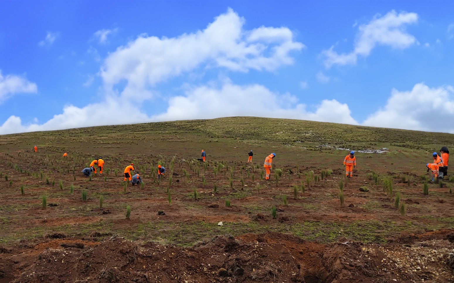 Activos Mineros reinicia obras de remediación de suelos en proyecto Margen Izquierda, en Junín