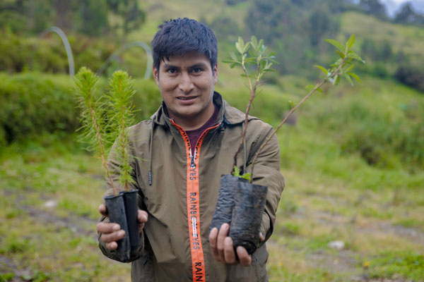 Comunidad Campesina Santa Cruz de Pichiú y Antamina logran forestar 400 hectáreas en Huari