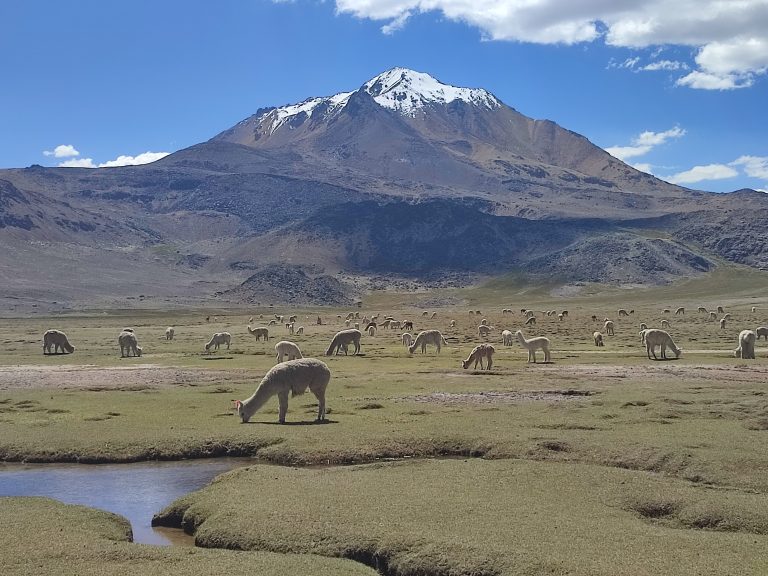 ANA: Plan de Gestión de Recursos Hídricos identificó S/ 123 millones en inversiones para Tarata, en Tacna