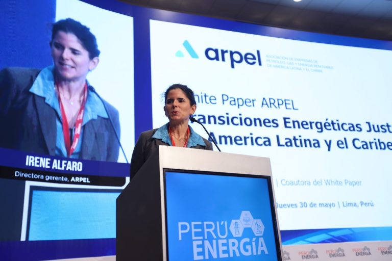 ARPEL: “No podemos negar el derecho legítimo de los países en desarrollo de utilizar sus recursos hidrocarburíferos”