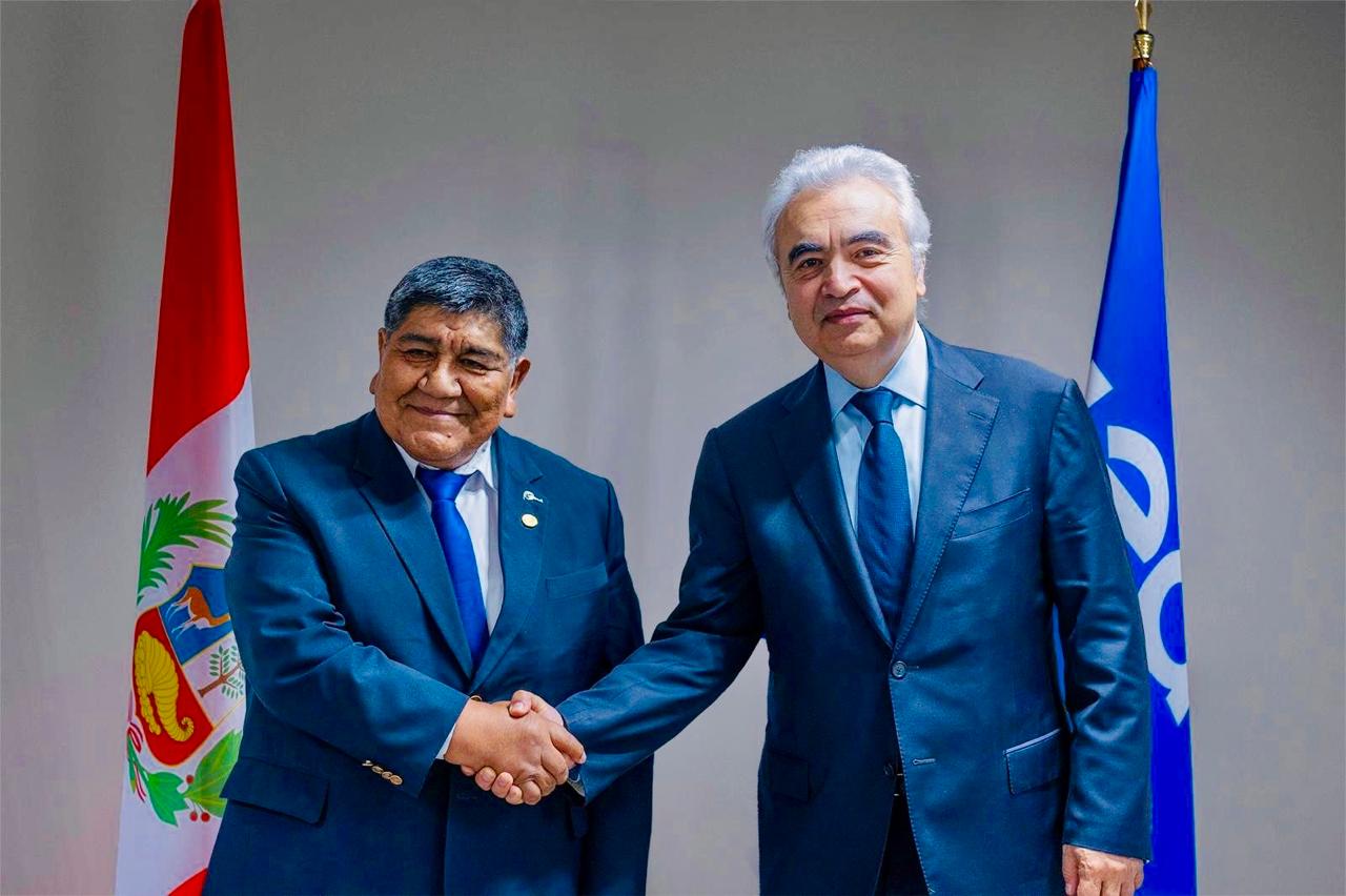 Ministro Rómulo Mucho impulsa colaboración entre el Perú  y organismos internacionales de energía