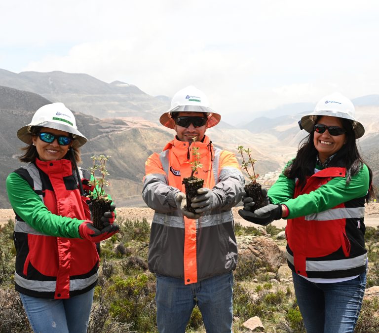 Forestación de queñuas de Anglo American en Moquegua obtiene prestigioso reconocimiento internacional