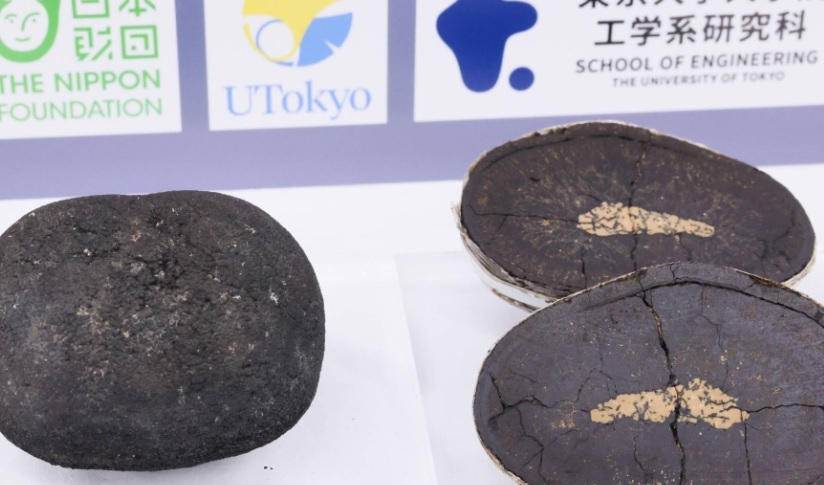 Japón encuentra más de 200 millones de toneladas métricas de metales raros en lecho marino y planea extraerlos