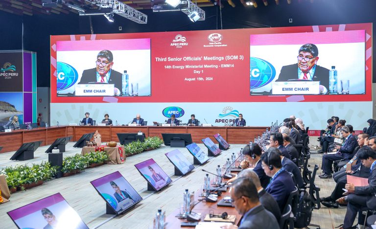 Perú logró el compromiso de 21 economías de APEC para tres iniciativas en materia energética