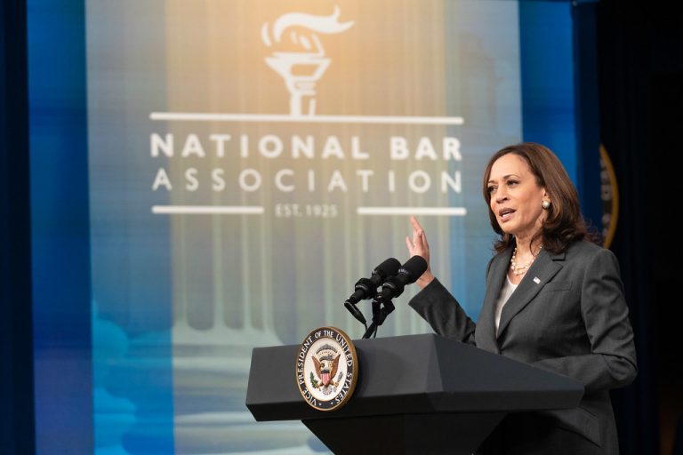 Kamala Harris promete crear reservas e incentivos de minerales críticos en EE. UU.