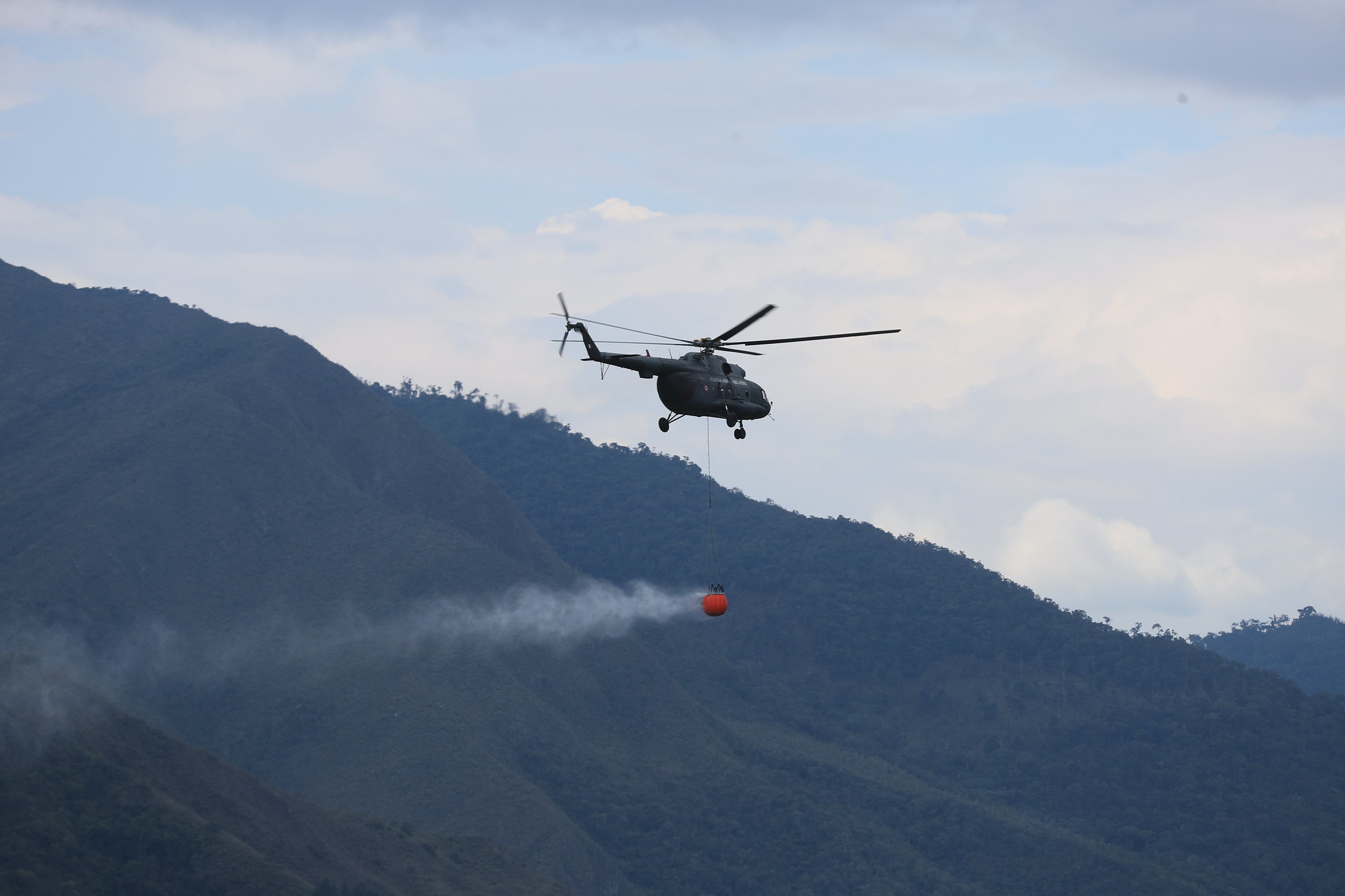 Incendios forestales: declaran en emergencia las regiones Ucayali, San Martín y Amazonas