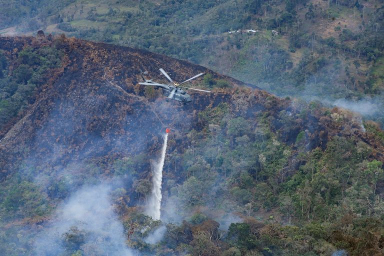 Ejecutivo asevera que logró sofocar 152 incendios forestales de un total de 222