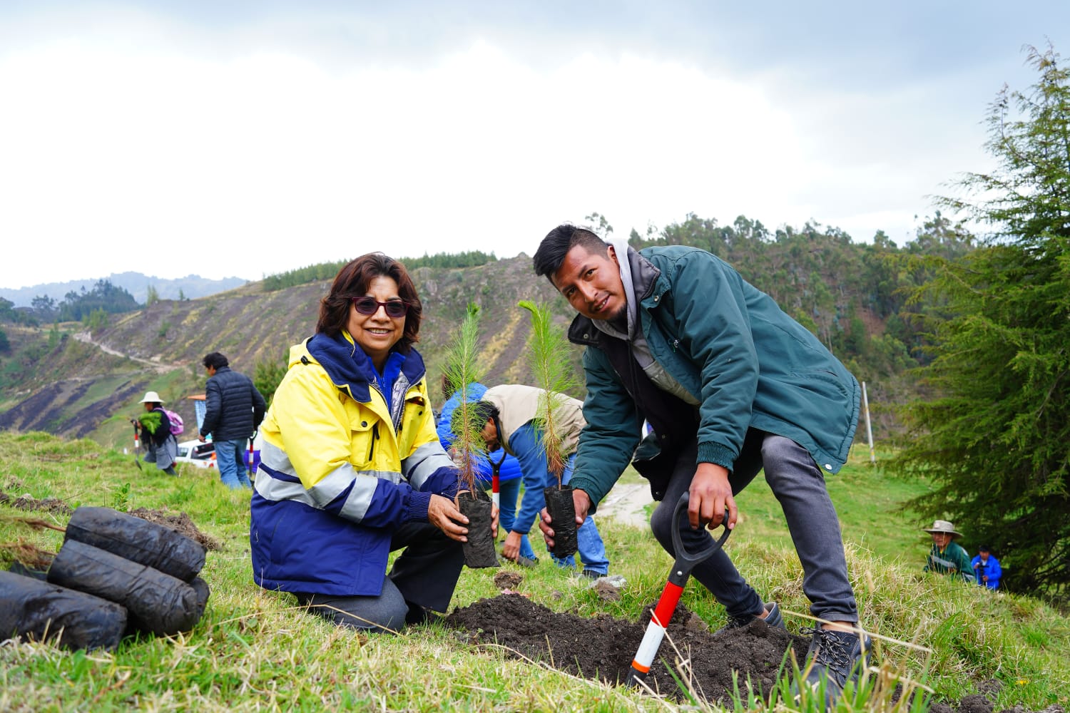 Proyecto “Huella Verde” completará la meta de 1.5 millones de árboles plantados en Cajamarca