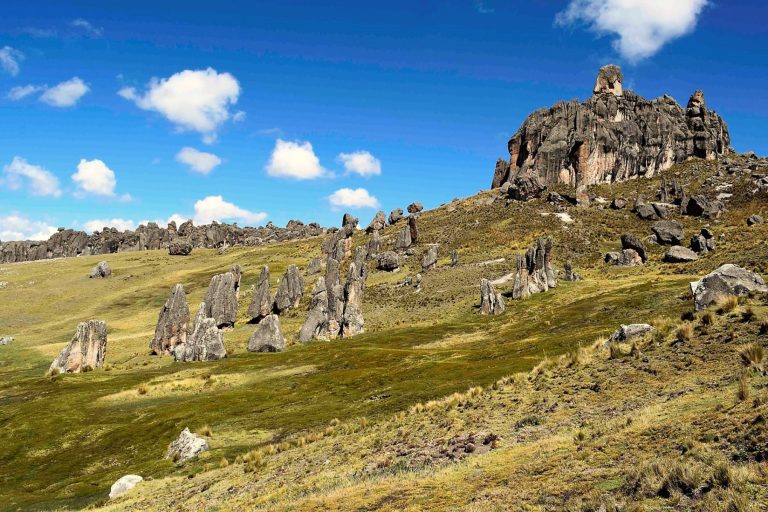 Pasco: Pan American Silver Huarón y el Sernanp firman acuerdo para la conservación de la biodiversidad en el Santuario Nacional de Huayllay