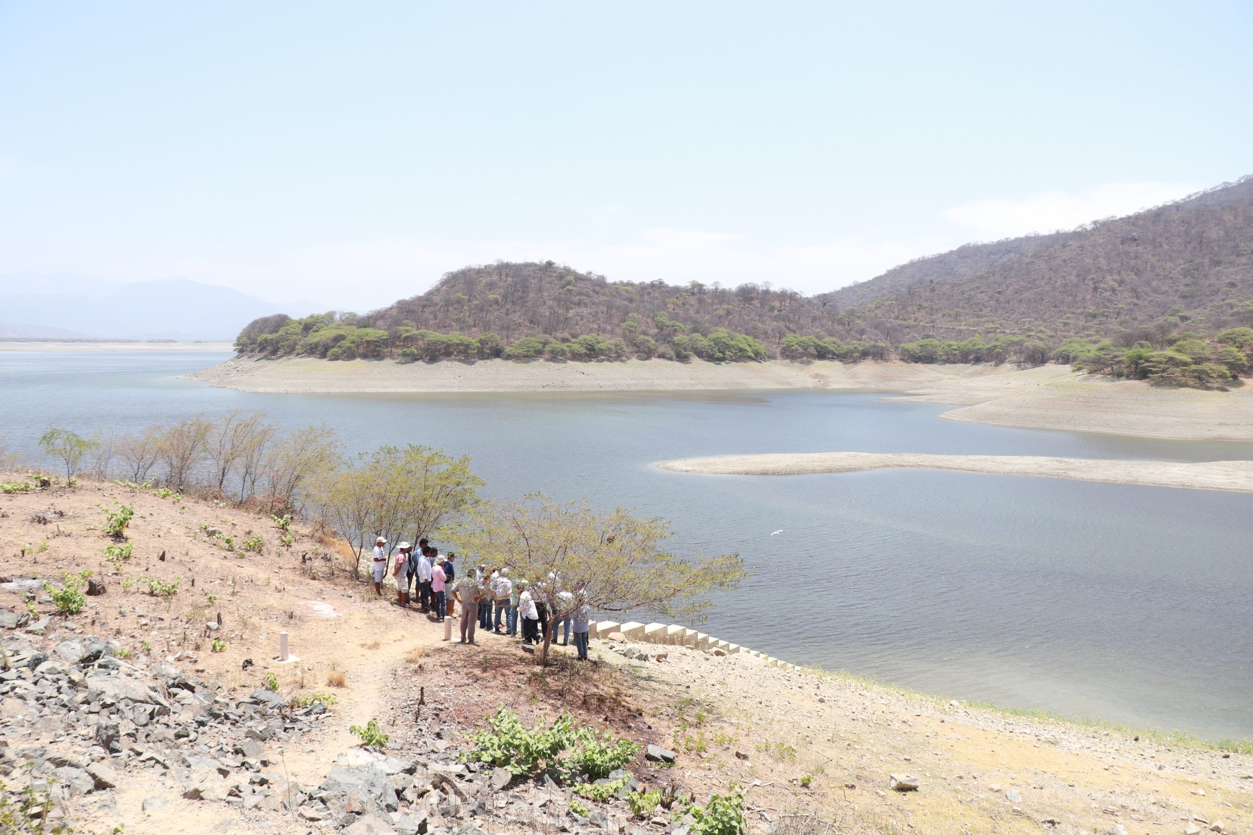 Jefe de la ANA en Piura: “Venimos aplicando los mecanismos legales para incrementar el uso del agua subterránea sin solicitar una autorización”