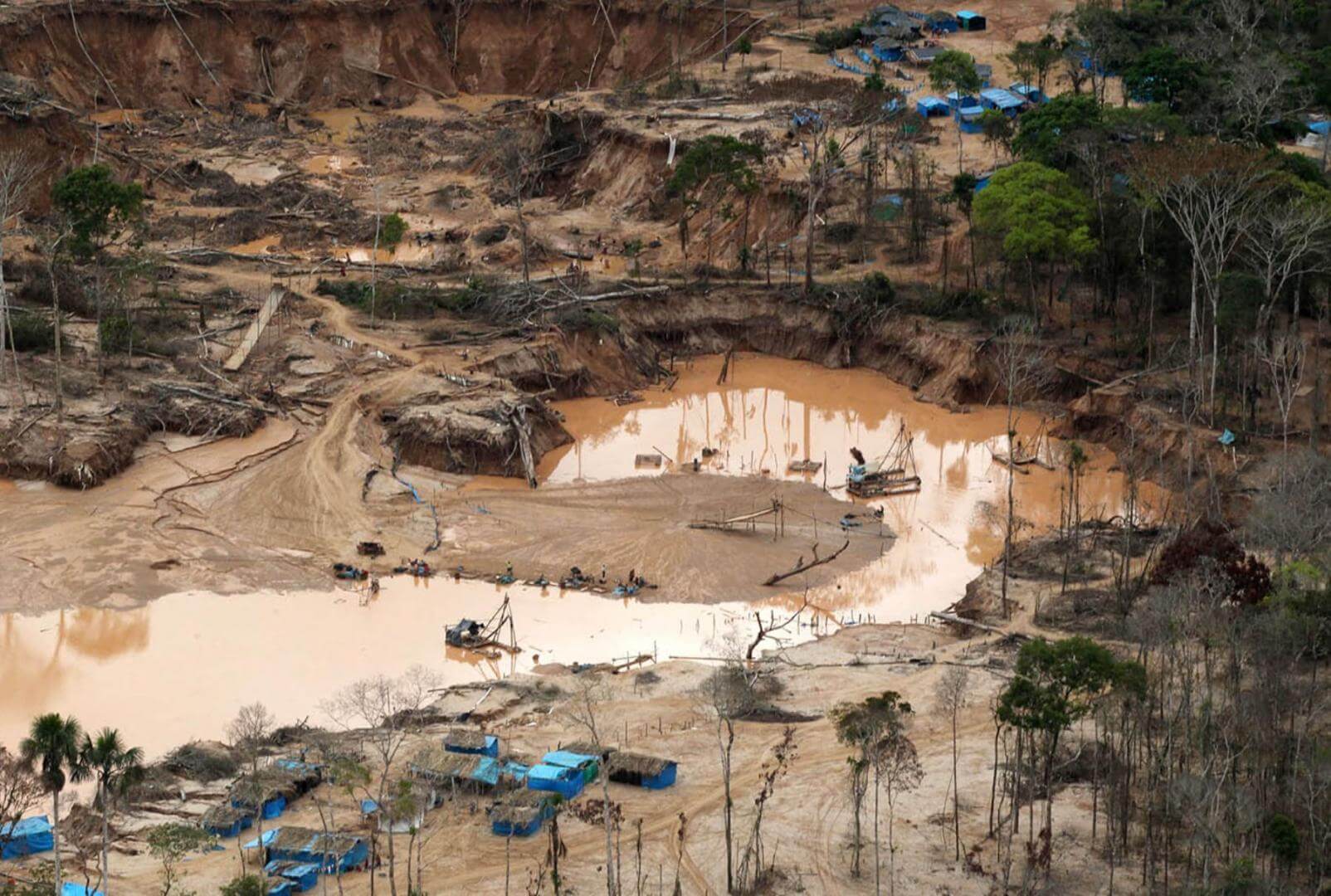 Juan Carlos Ortiz: Proyectos mineros están amenazados por invasión de mineros ilegales 