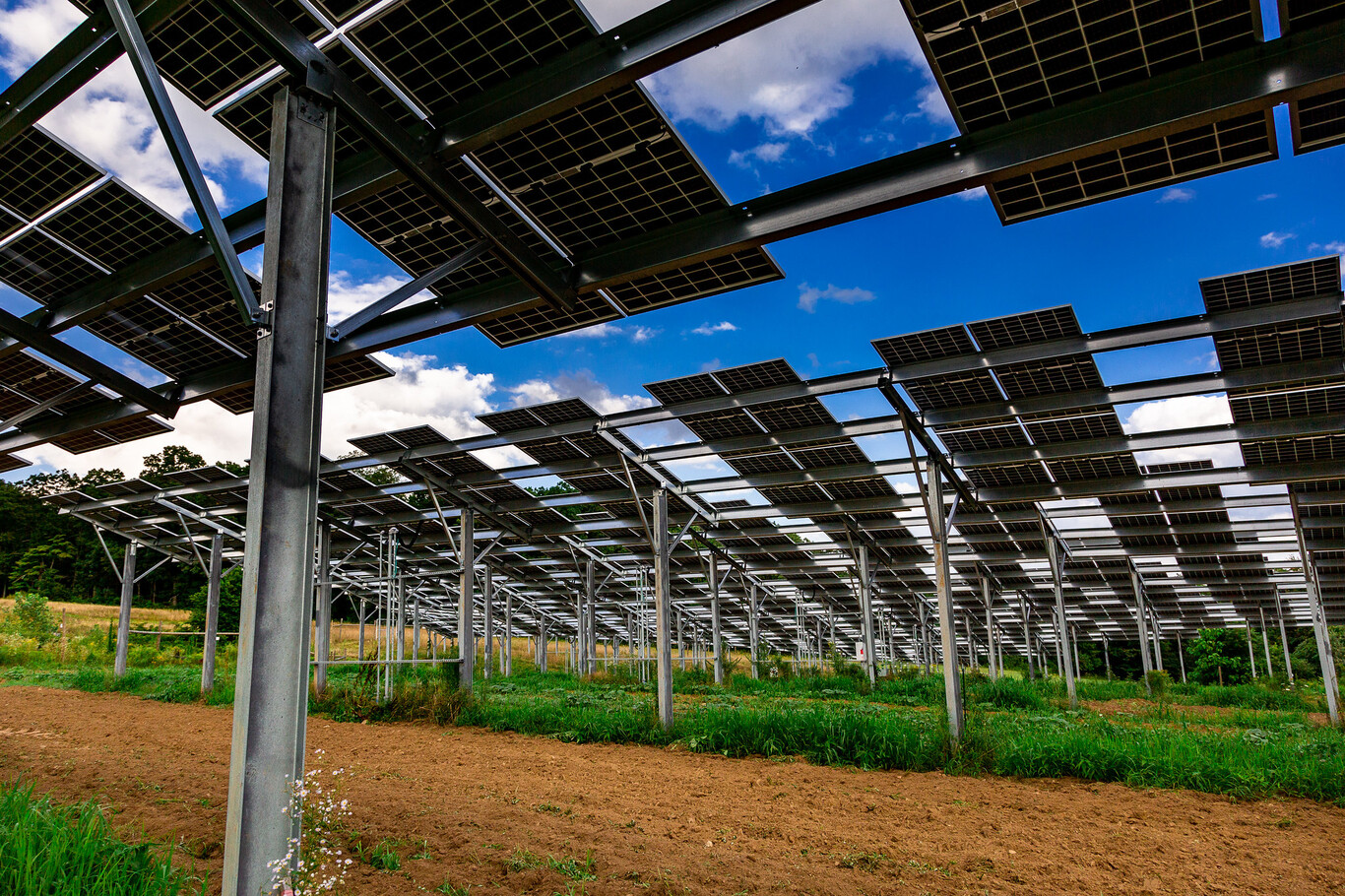 Gobierno declara de interés nacional el uso de energías renovables en la agricultura