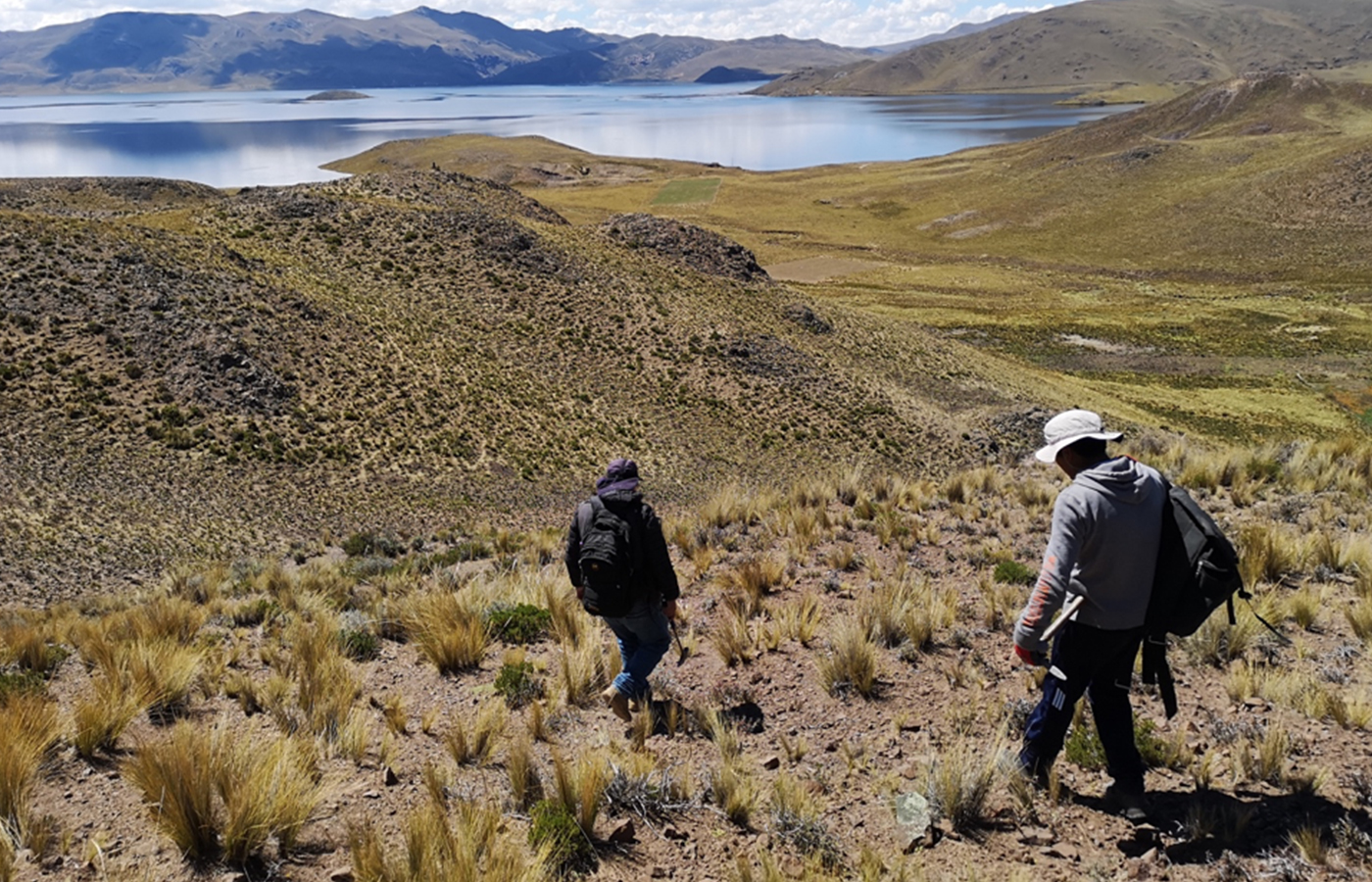 Puno: Palamina prepara estudio para definir objetivos de perforación en proyecto de cobre, plata y manganeso Galena