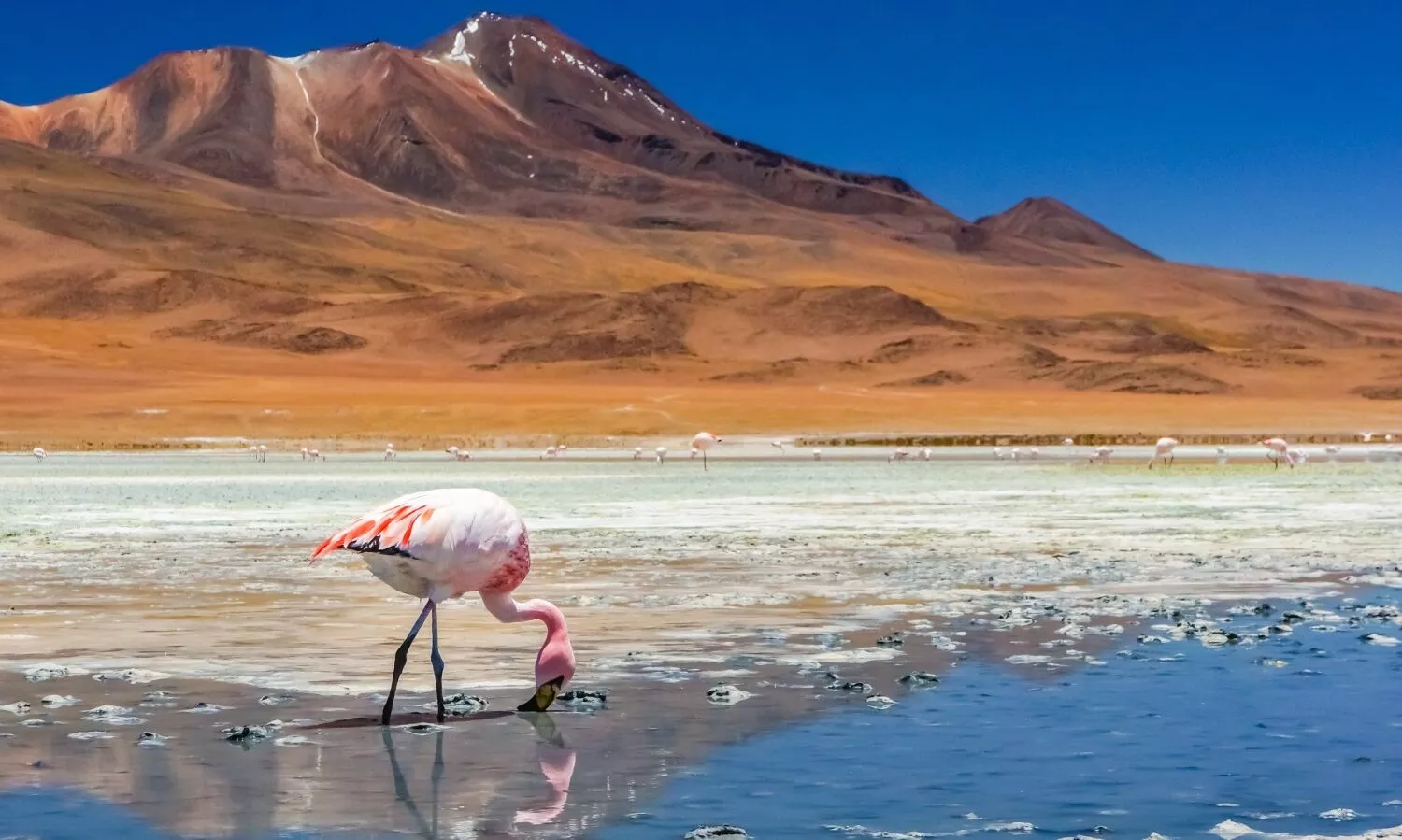 Chile oficializa un ambicioso plan nacional para enfrentar el cambio climático