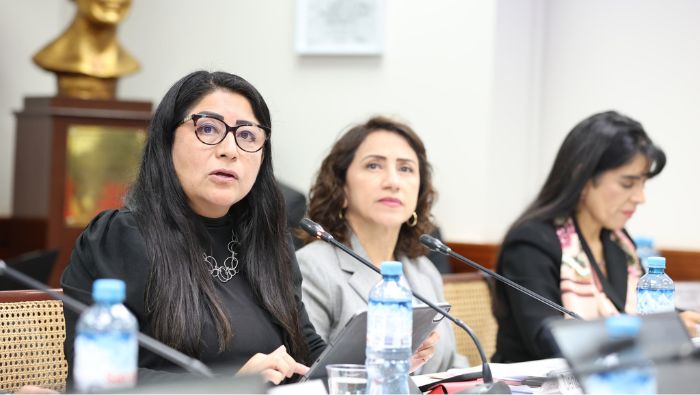 Viceministra de Economía: Ley de las Zonas Económicas Especiales será aprobada dentro de unos días