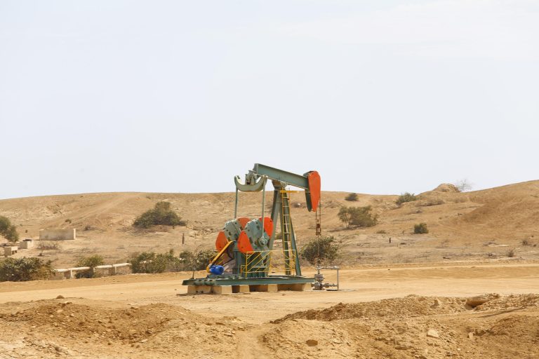 Perupetro procederá a evaluar postores que ocuparon segundo lugar para buena pro de lotes I y VI