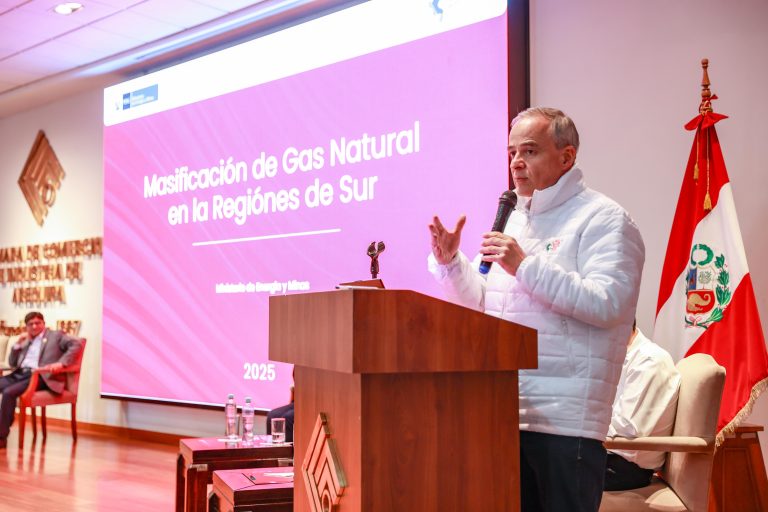 Minem se ha propuesto dejar “encaminados” los proyectos de masificación de gas natural en el sur