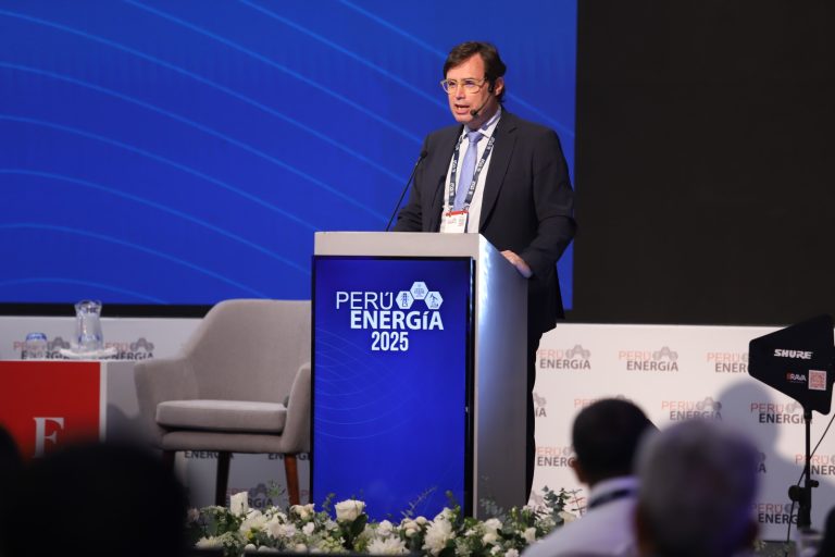 ADENE: “El mayor desafío de la transición energética en Europa es su infraestructura eléctrica”