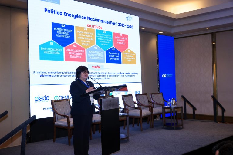 Iris Cárdenas: “El gas natural es un energético clave para sustituir los combustibles más contaminantes”